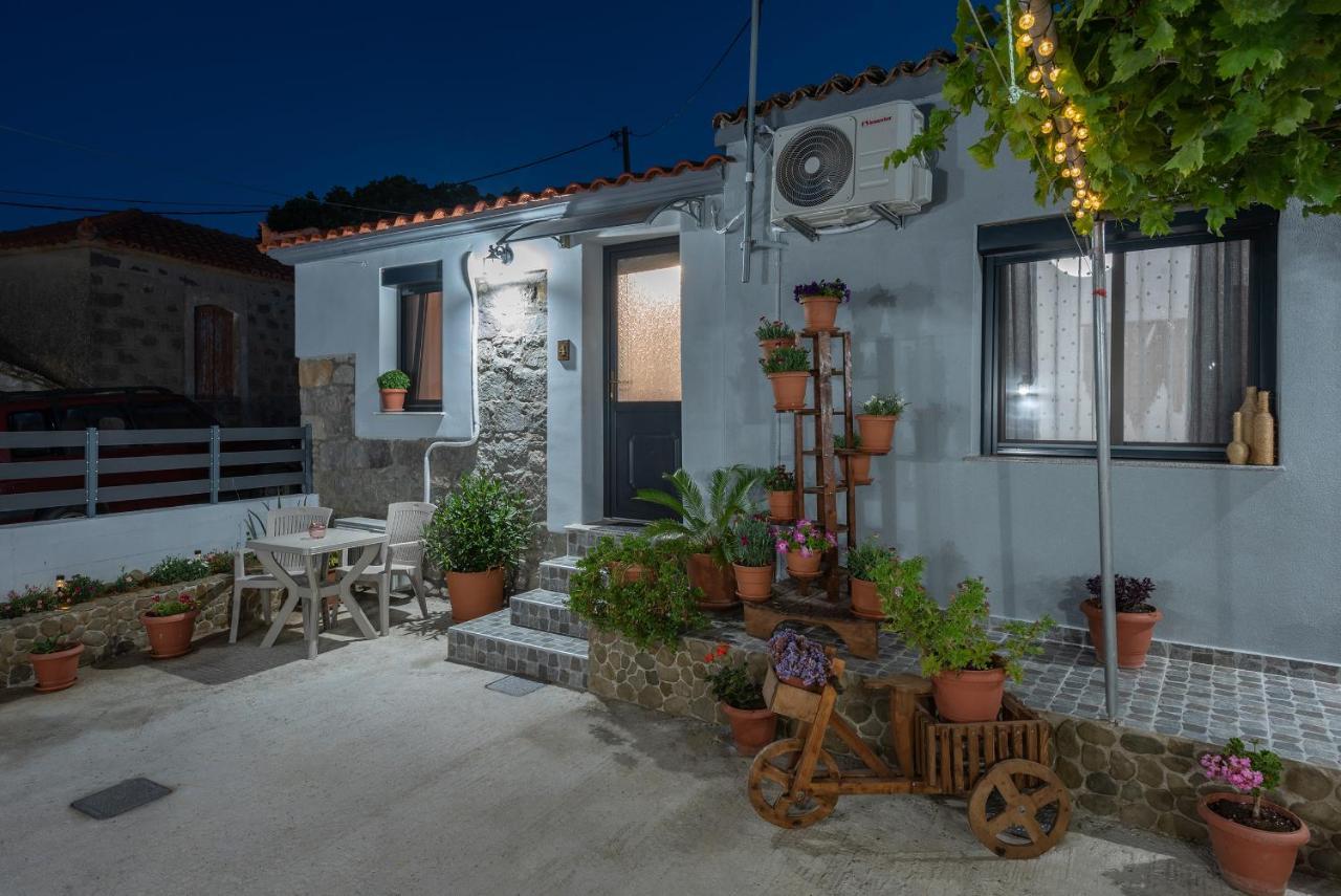 Apartment ρίζες - Rizes Repanidhion